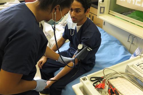 Medical Occupations