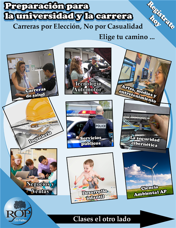 Course Offerings-Espanol